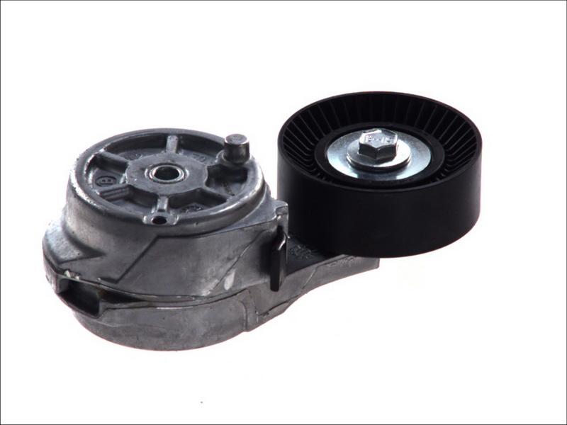 Dayco APV2486 - Intinzator curea, curea distributie aaoparts.ro