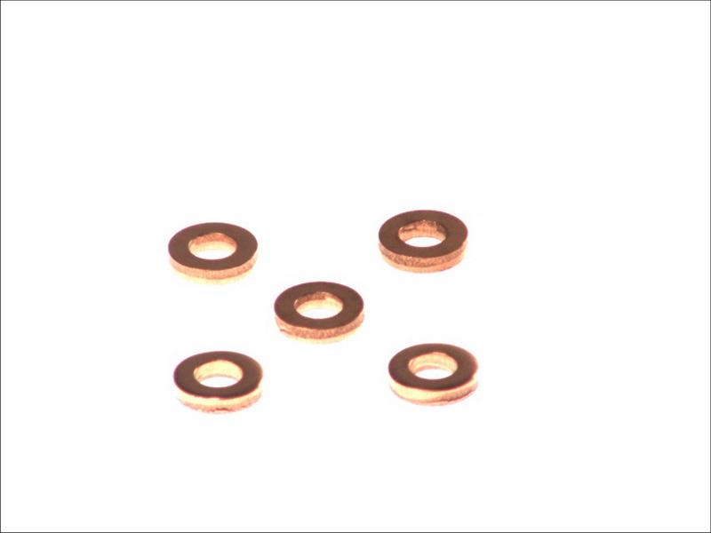 Delphi 9001-850C - Inel etansare, locas diuza aaoparts.ro