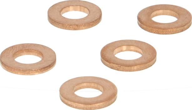 Delphi 9001850 - Inel etansare, injector aaoparts.ro