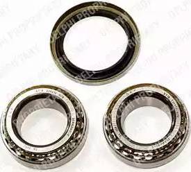 Delphi BK432 - Set rulment roata aaoparts.ro