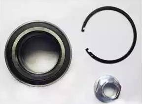 Delphi BK1631 - Set rulment roata aaoparts.ro