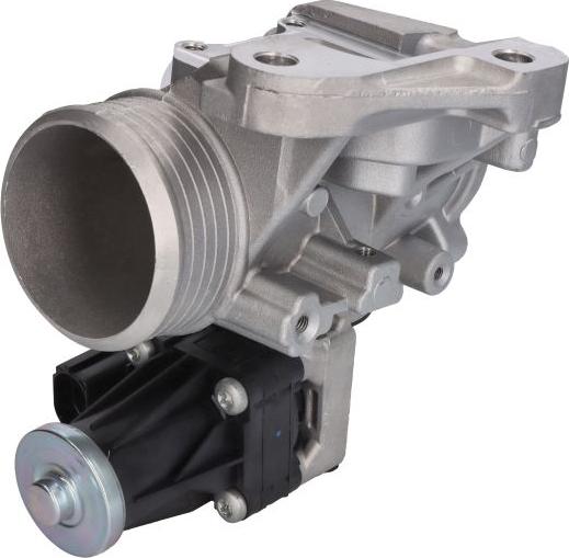 Delphi EG10548-12B1 - Supapa EGR aaoparts.ro