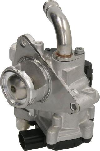 Delphi EG10608-12B1 - Supapa EGR aaoparts.ro