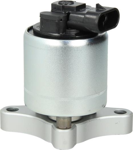 Delphi EG10003-12B1 - Supapa EGR aaoparts.ro