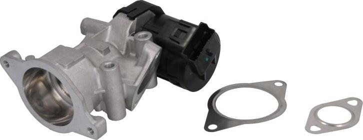 Delphi EG10396-12B1 - Supapa EGR aaoparts.ro