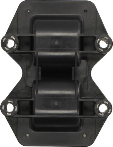 Delphi GN10488-12B1 - Bobina de inductie aaoparts.ro