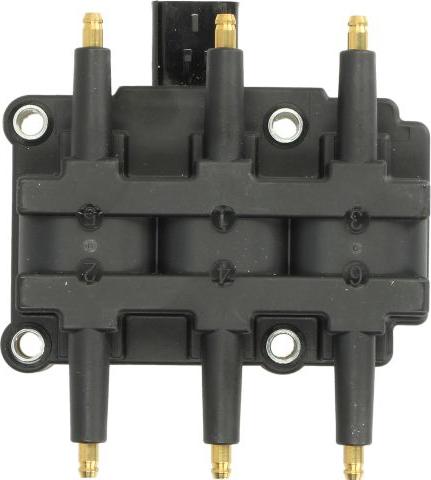 Delphi GN10181-11B1 - Bobina de inductie aaoparts.ro