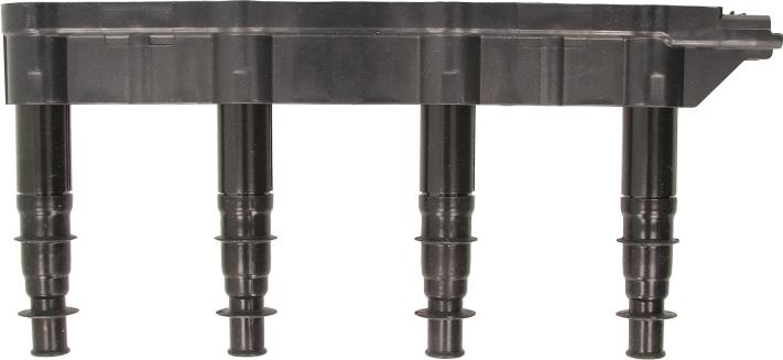 Delphi GN10239-12B1 - Bobina de inductie aaoparts.ro