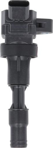 Delphi GN11002-12B1 - Bobina de inductie aaoparts.ro