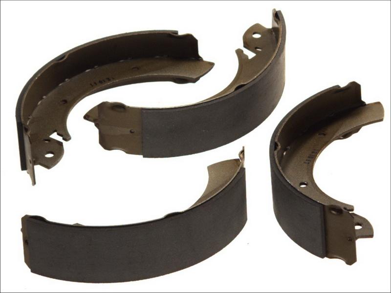 Delphi LS1179 - Set saboti frana aaoparts.ro