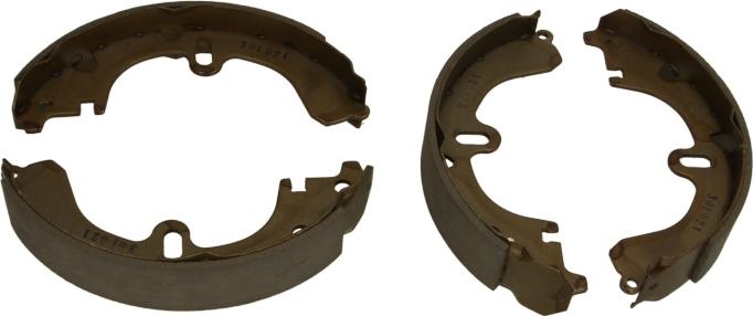 Delphi LS1315 - Set saboti frana aaoparts.ro