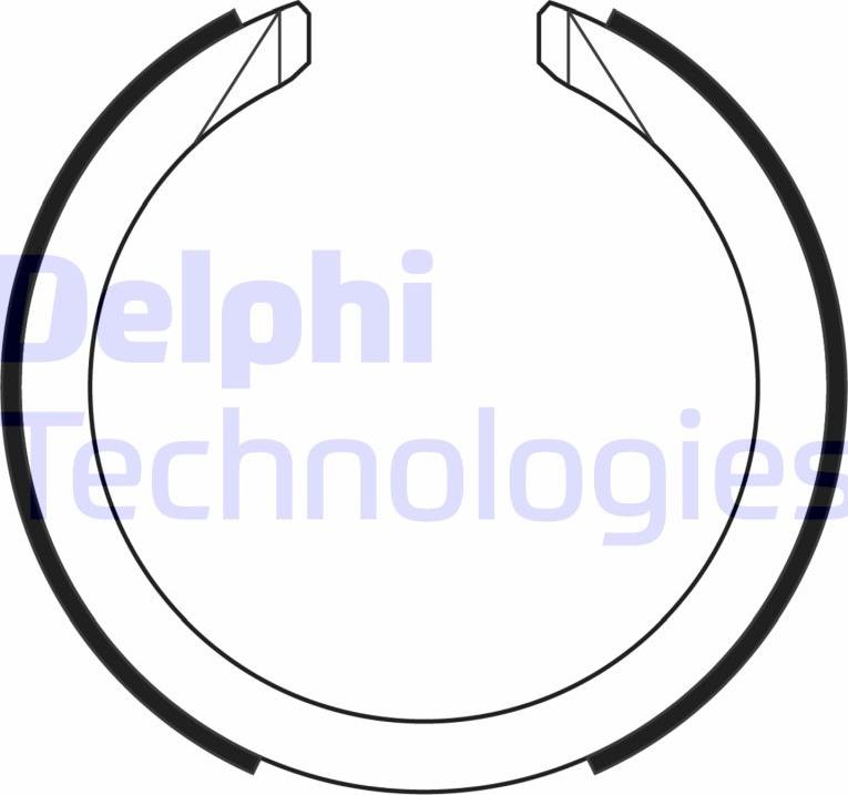 Delphi LS2169 - Set saboti frana, frana de mana aaoparts.ro