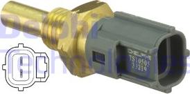 Delphi TS10505 - Senzor,temperatura lichid de racire aaoparts.ro