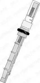 Delphi TSP0695193 - Injectoare, supapa expansiune aaoparts.ro