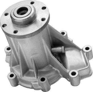 Denckermann A310243P - Pompa apa aaoparts.ro