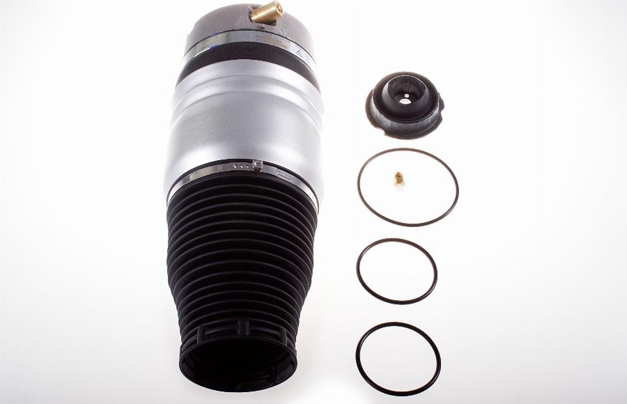 Denckermann DSA114G - Arc pneumatic, directie aaoparts.ro