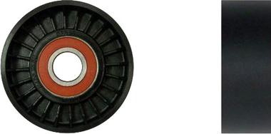 Denckermann P250001 - Rola ghidare / conducere, curea transmisie aaoparts.ro