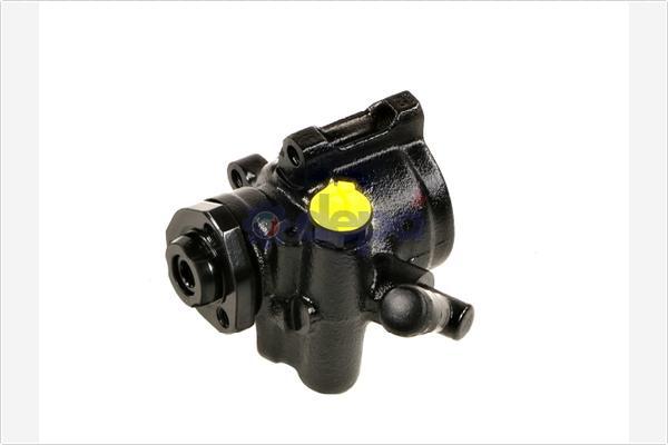 DEPA PA1018 - Pompa hidraulica, sistem de directie aaoparts.ro