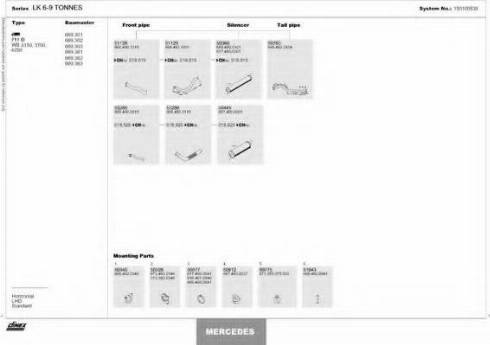 Dinex 150100539 - Sistem de esapament aaoparts.ro