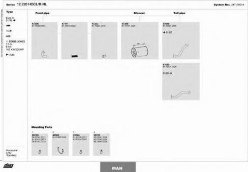 Dinex 247100014 - Sistem de esapament aaoparts.ro