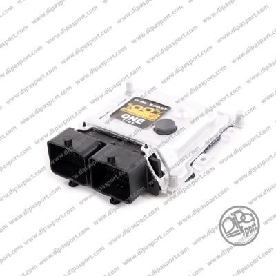 Dipasport EBME17520150R - Unitate de control,injectie combustibil aaoparts.ro