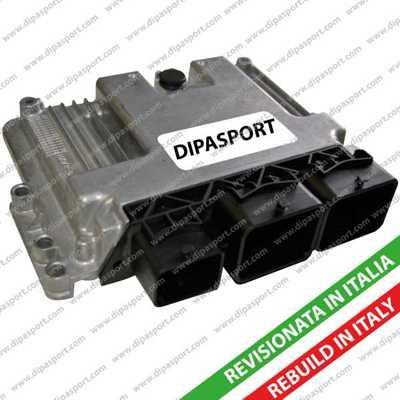 Dipasport EBMEV1742494R - Unitate de control,management motor aaoparts.ro