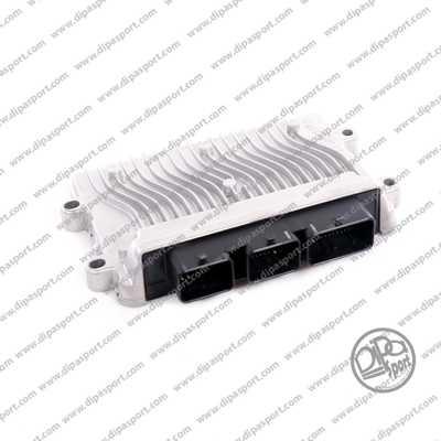 Dipasport EBV341001R - Unitate de control,management motor aaoparts.ro