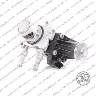 Dipasport EGR540R - Supapa EGR aaoparts.ro