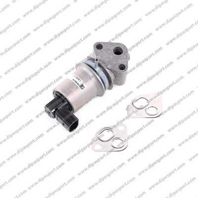 Dipasport EGR063N - Supapa EGR aaoparts.ro