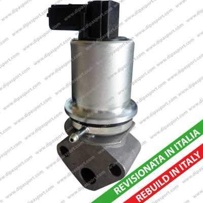 Dipasport EGR063R - Supapa EGR aaoparts.ro