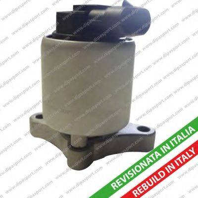 Dipasport EGR009R - Supapa EGR aaoparts.ro