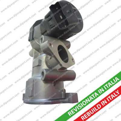 Dipasport EGR011R - Supapa EGR aaoparts.ro