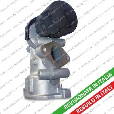 Dipasport EGR030R - Supapa EGR aaoparts.ro