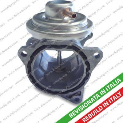 Dipasport EGR024R - Supapa EGR aaoparts.ro