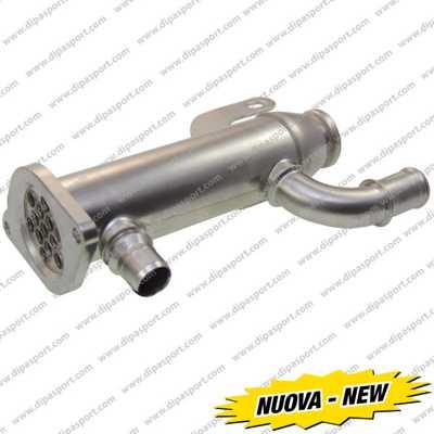 Dipasport EGR199R - Radiator, recirculare gaze de esapament aaoparts.ro