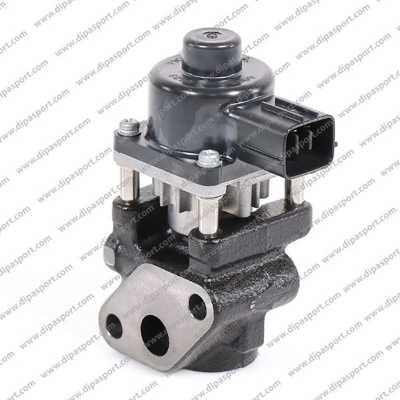 Dipasport EGR269N - Supapa EGR aaoparts.ro
