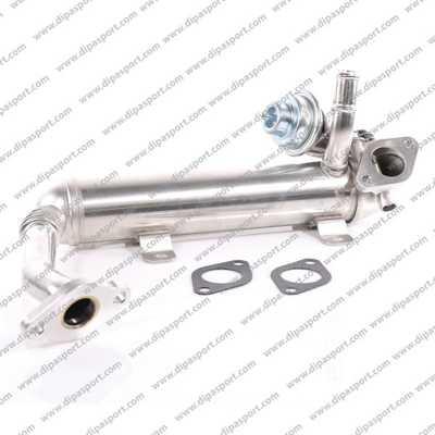 Dipasport EGR210AN - Radiator, recirculare gaze de esapament aaoparts.ro