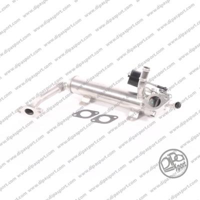 Dipasport EGR210PRBN - Radiator, recirculare gaze de esapament aaoparts.ro