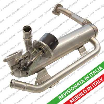 Dipasport EGR210R - Radiator, recirculare gaze de esapament aaoparts.ro