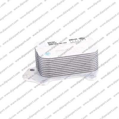 Dipasport RAO142N - Radiator ulei, ulei motor aaoparts.ro
