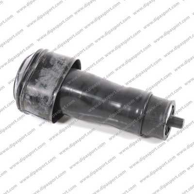 Dipasport SSA010DPSN - Arc pneumatic, directie aaoparts.ro