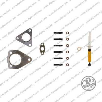 Dipasport TRBKIT005N - Set montaj, turbocompresor aaoparts.ro