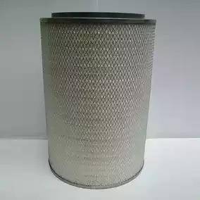 Donaldson P775843 - Filtru aer aaoparts.ro