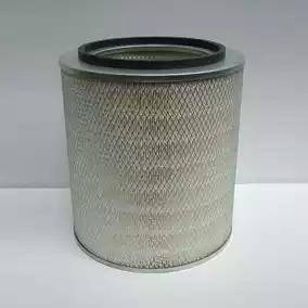 Donaldson P776252 - Filtru aer aaoparts.ro