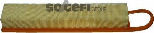 Double Force DFA5082 - Filtru aer aaoparts.ro