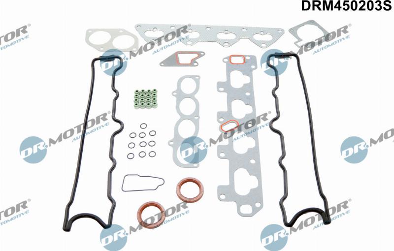 Dr.Motor Automotive DRM450203S - Set garnituri complet, motor aaoparts.ro
