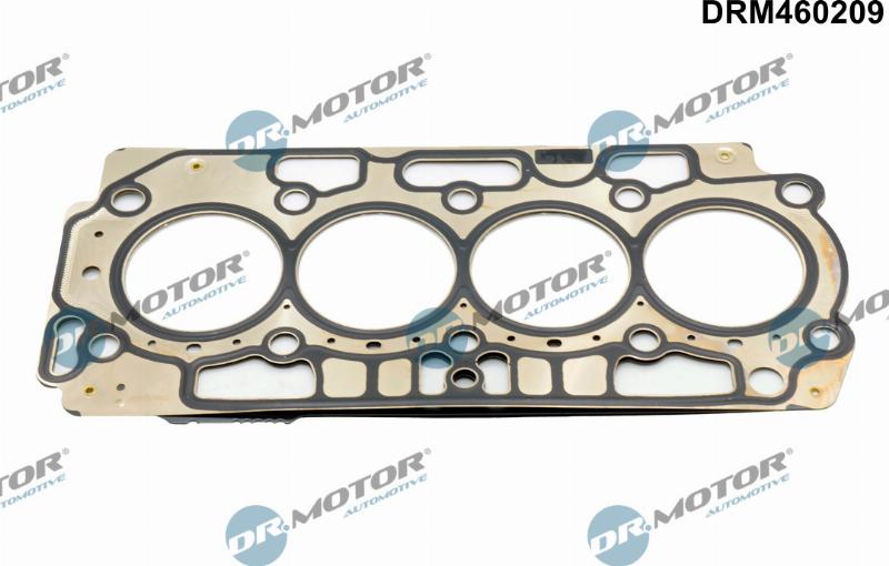 Dr.Motor Automotive DRM460209 - Garnitura, chiulasa aaoparts.ro