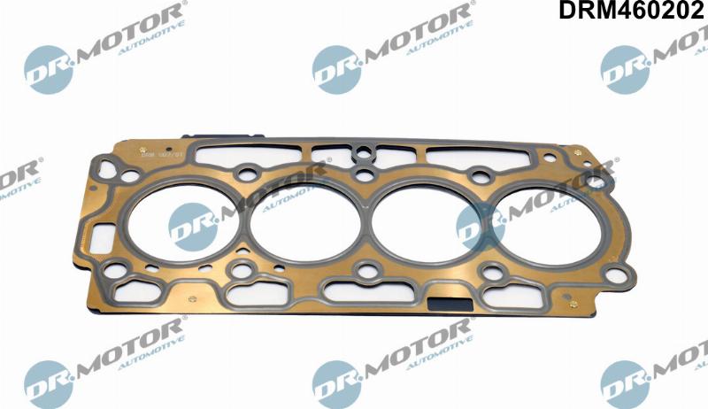 Dr.Motor Automotive DRM460202 - Garnitura, chiulasa aaoparts.ro