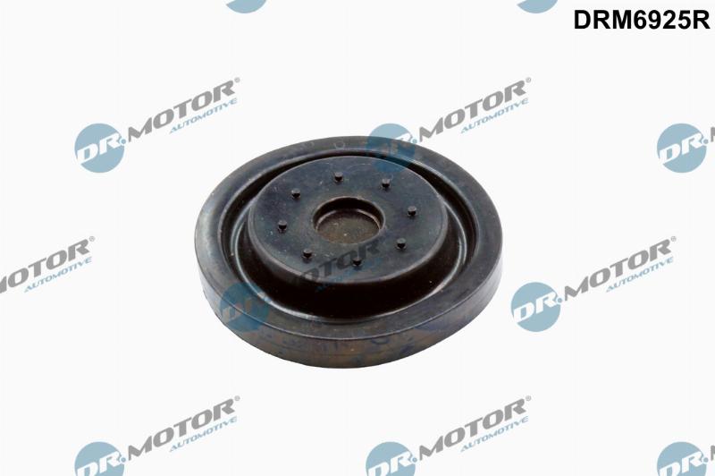 Dr.Motor Automotive DRM6925R - Set reparatie, aerisire baie ulei aaoparts.ro
