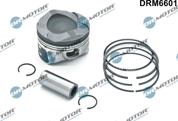 Dr.Motor Automotive DRM6601 - Piston aaoparts.ro